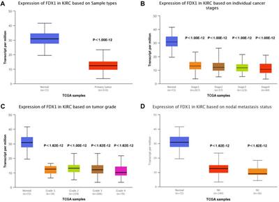 FDX1 expression predicts favourable prognosis in clear cell renal cell carcinoma identified by bioinformatics and tissue microarray analysis